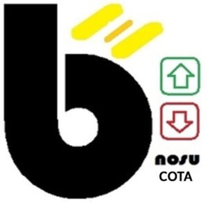 BONOSU COTA BINARY OPTION