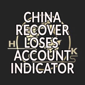 china V6 INDICATOR